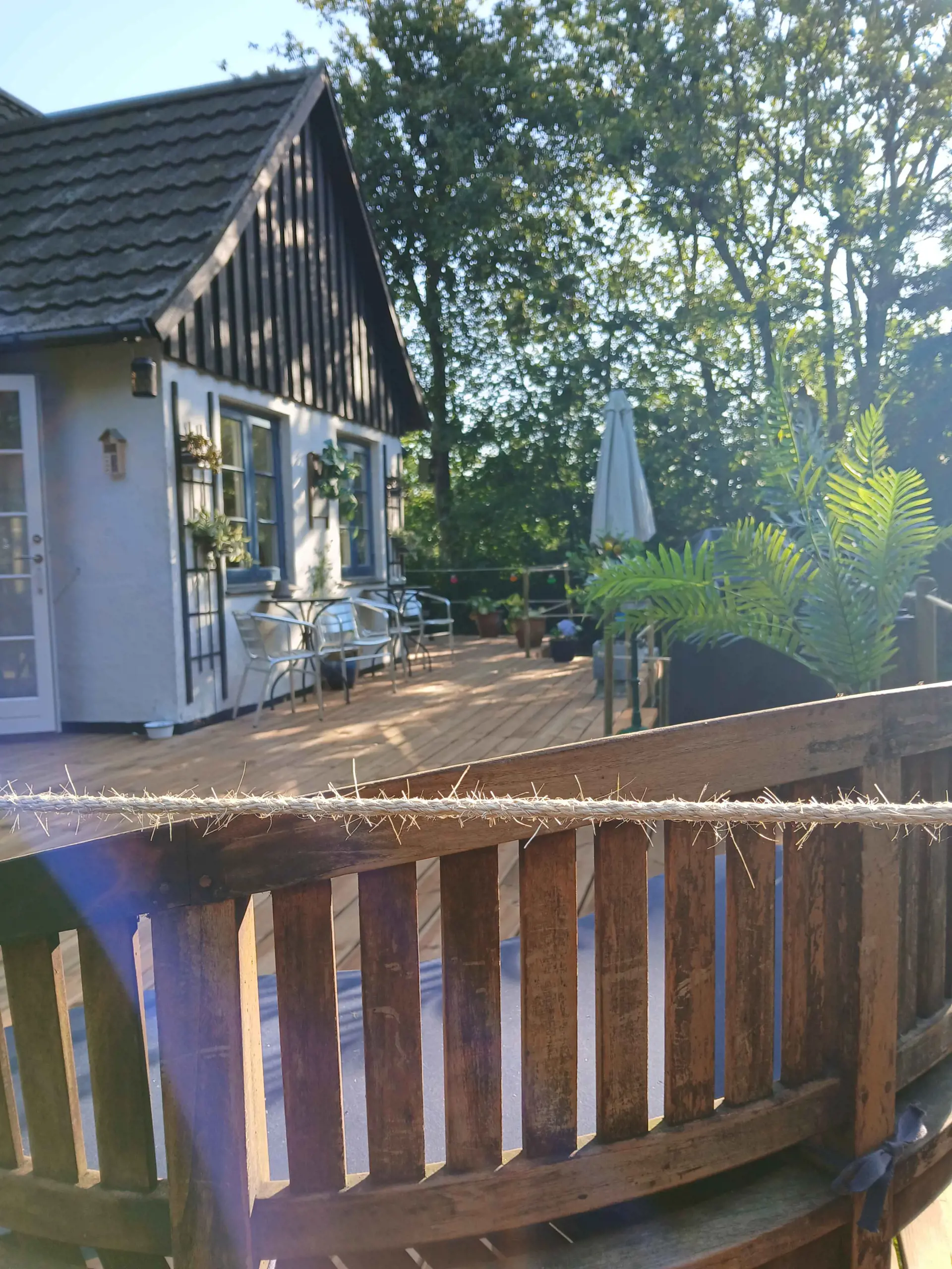 Bild 40 von 41