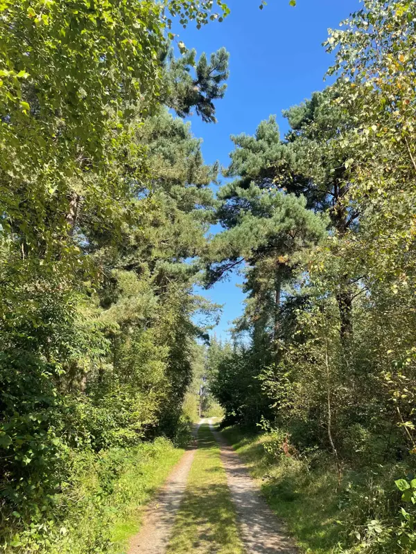 Bild 16 von 17
