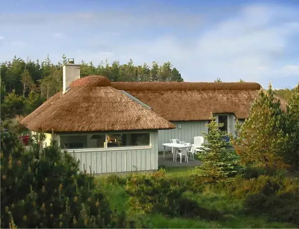 Ferienhaus 226289 in Kollerup / Jammerbucht