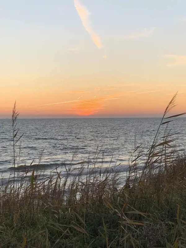 Bild 34 von 38