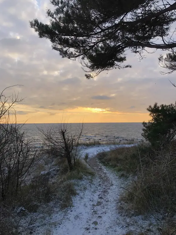 Bild 36 von 38
