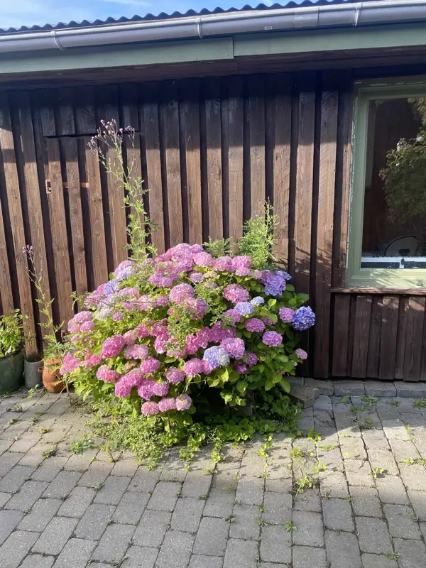 Bild 24 von 41