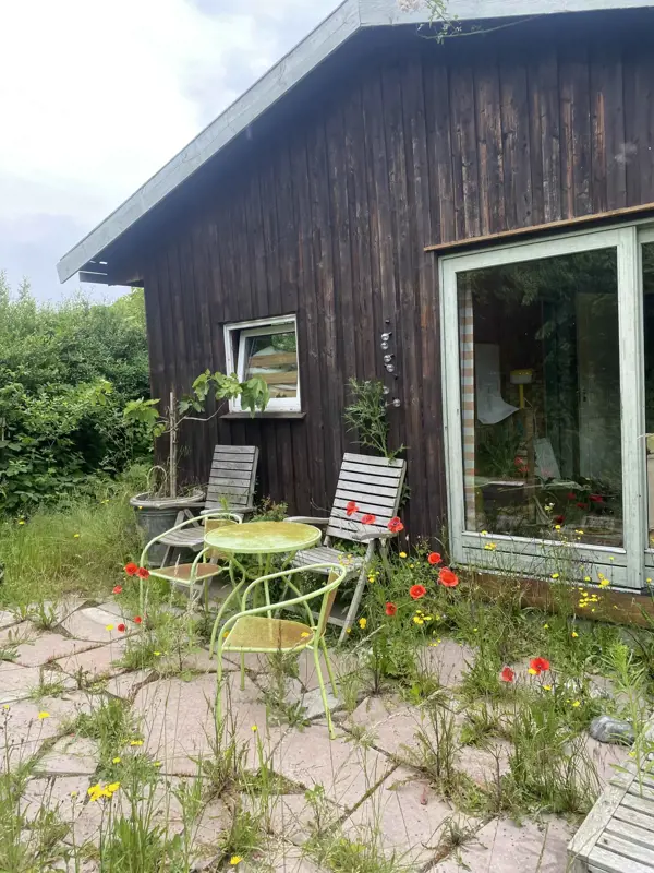 Bild 29 von 41