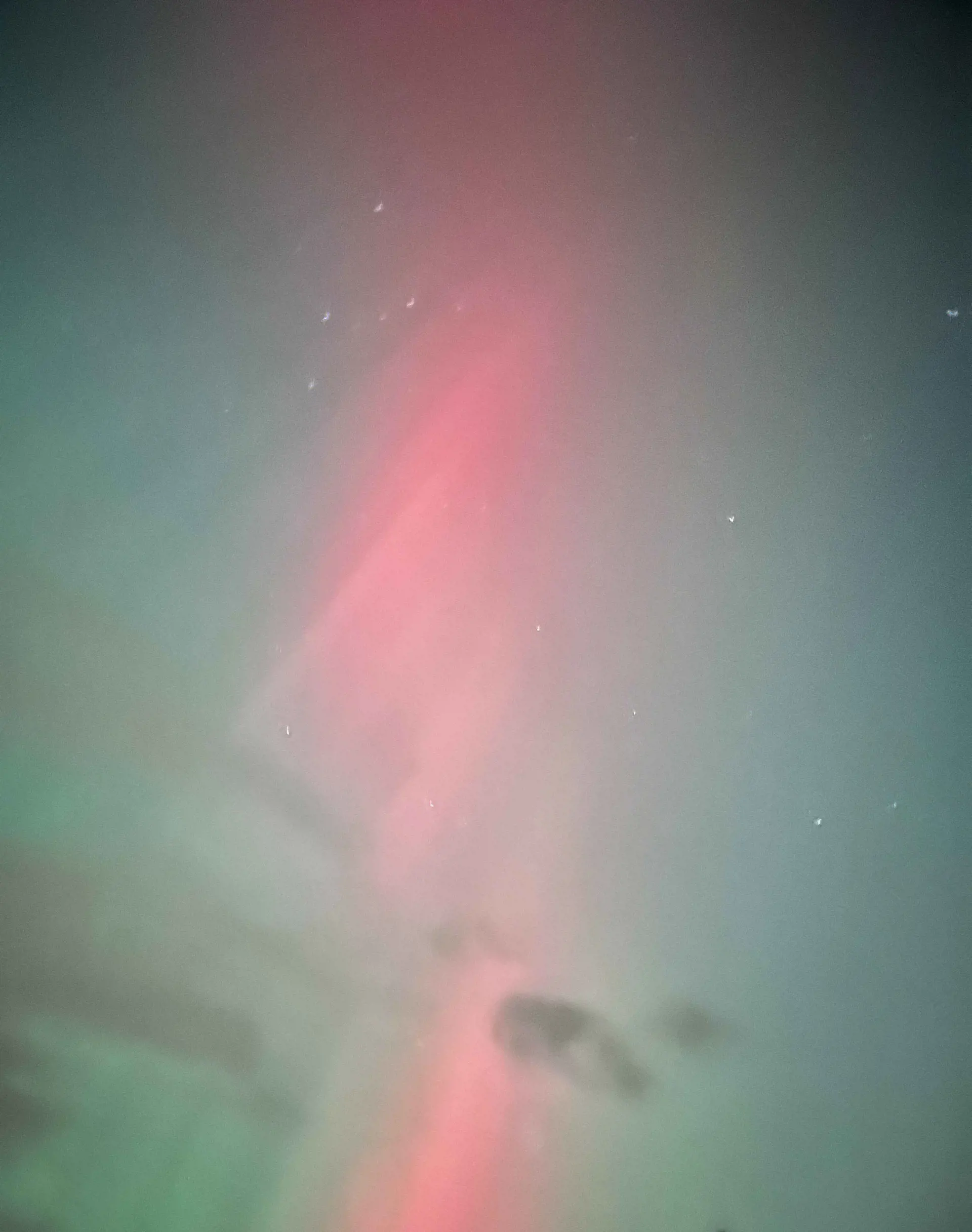 Bild 38 von 43