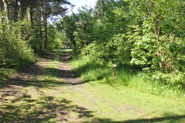 Bild 30 von 44