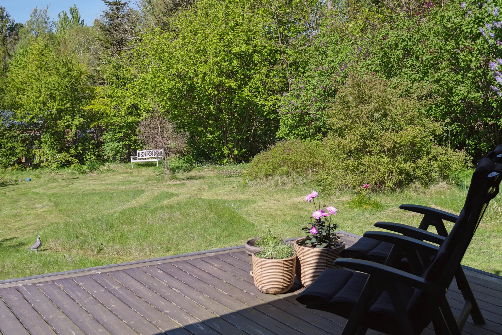 Bild 14 von 30