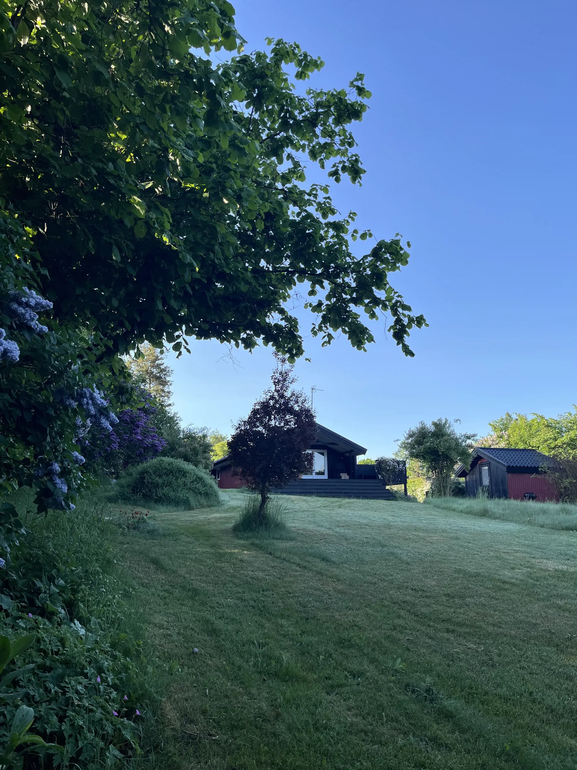 Bild 25 von 30