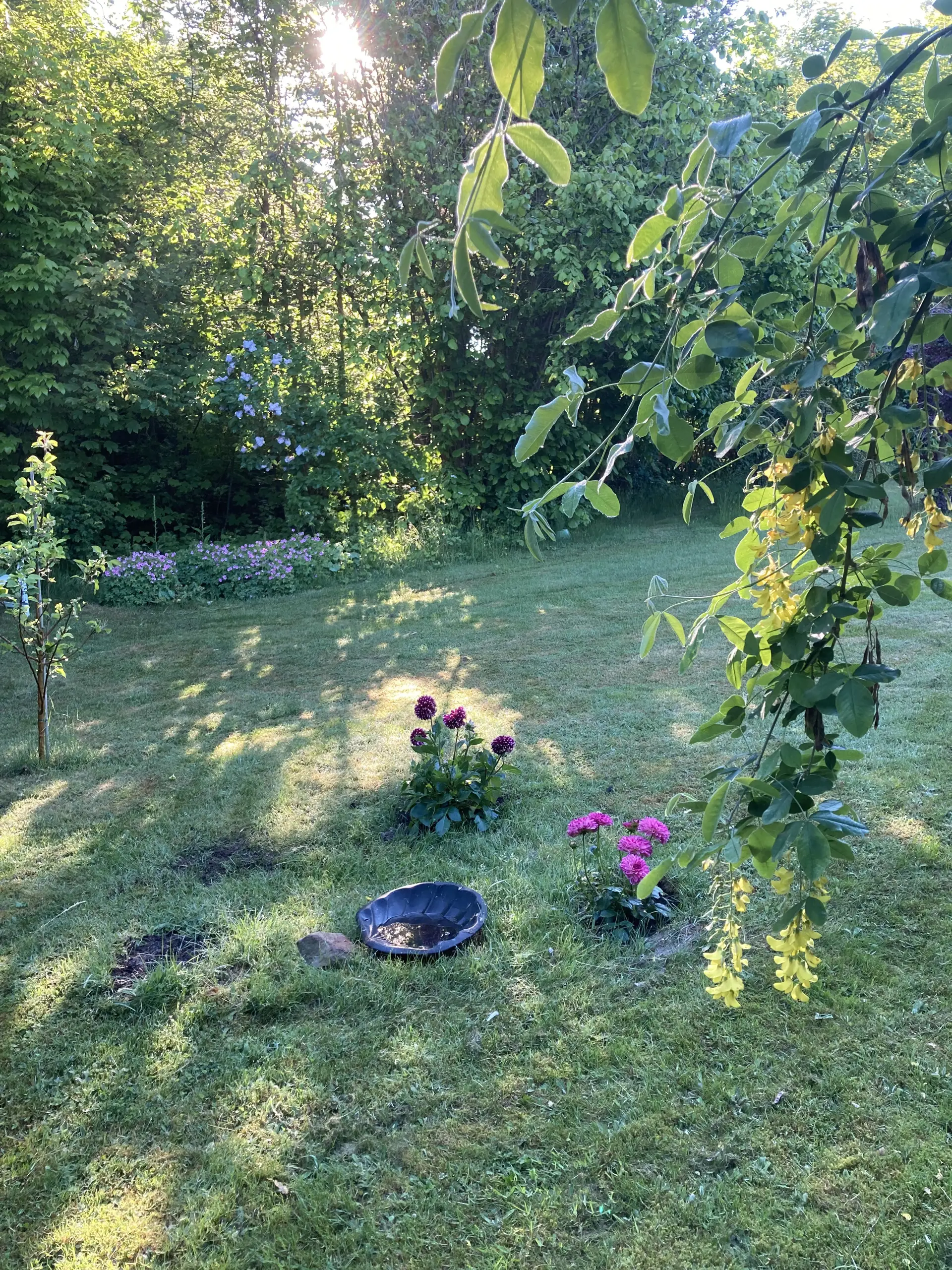 Bild 29 von 30