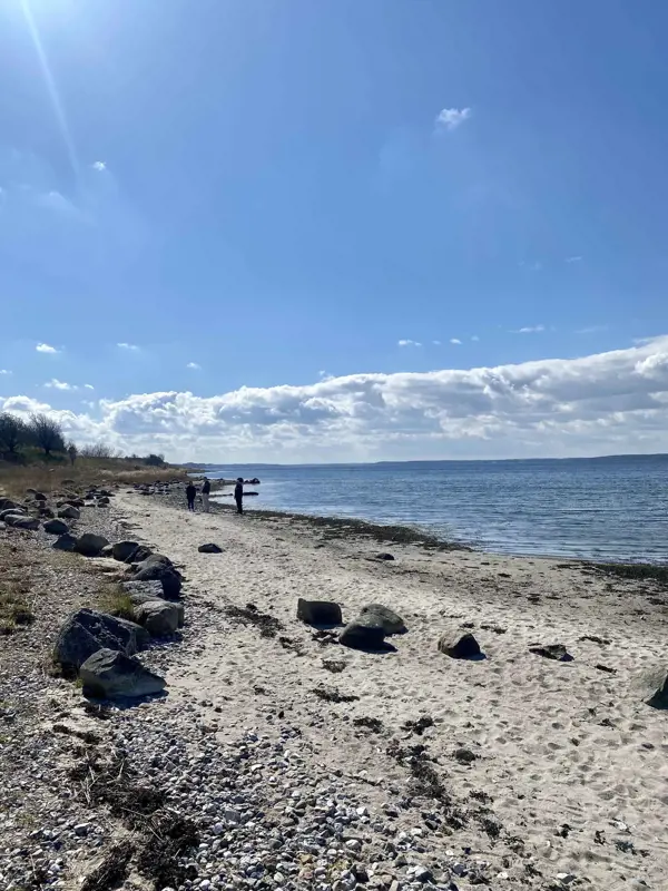 Bild 16 von 17