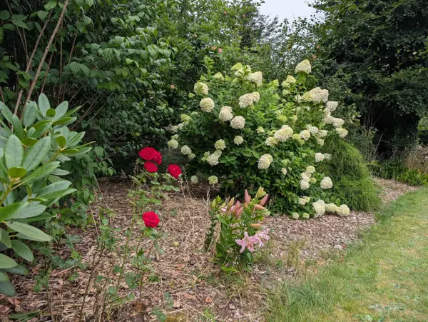 Bild 40 von 43