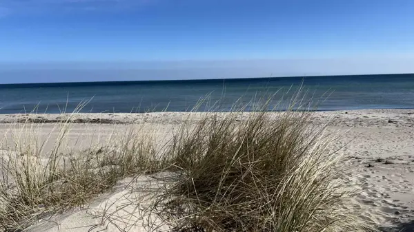 Bild 29 von 29