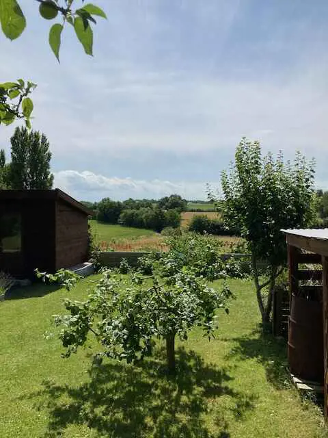 Bild 11 von 22