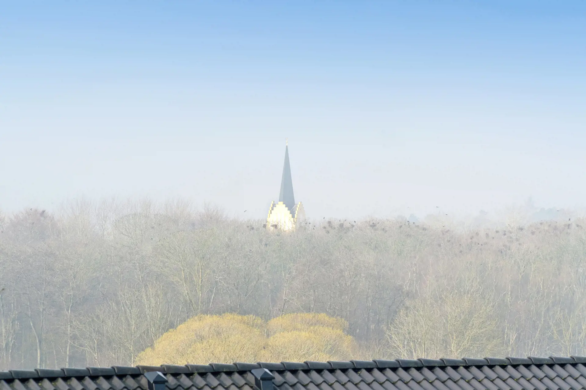 Bild 25 von 26