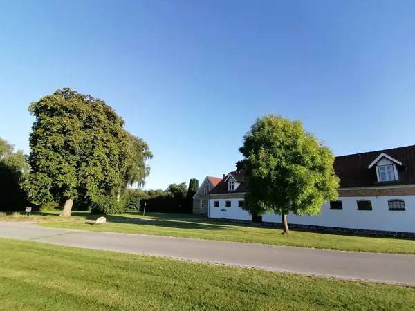 Bild 36 von 50
