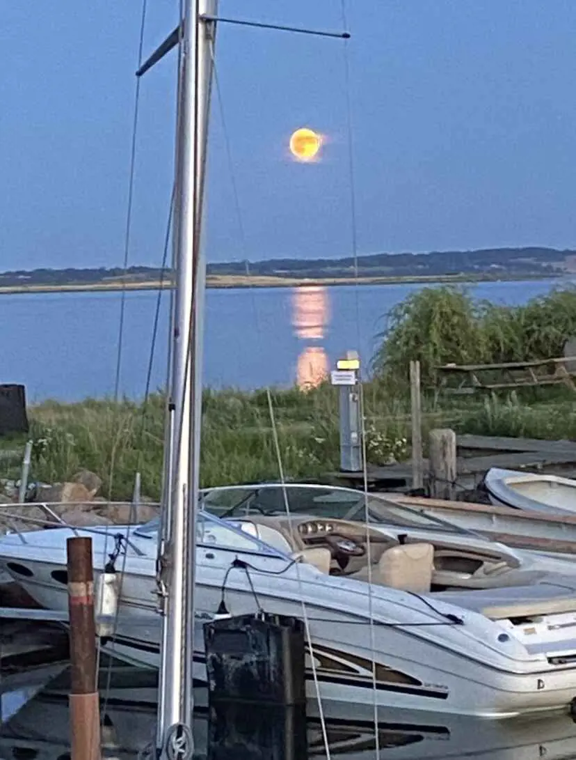 Bild 29 von 36