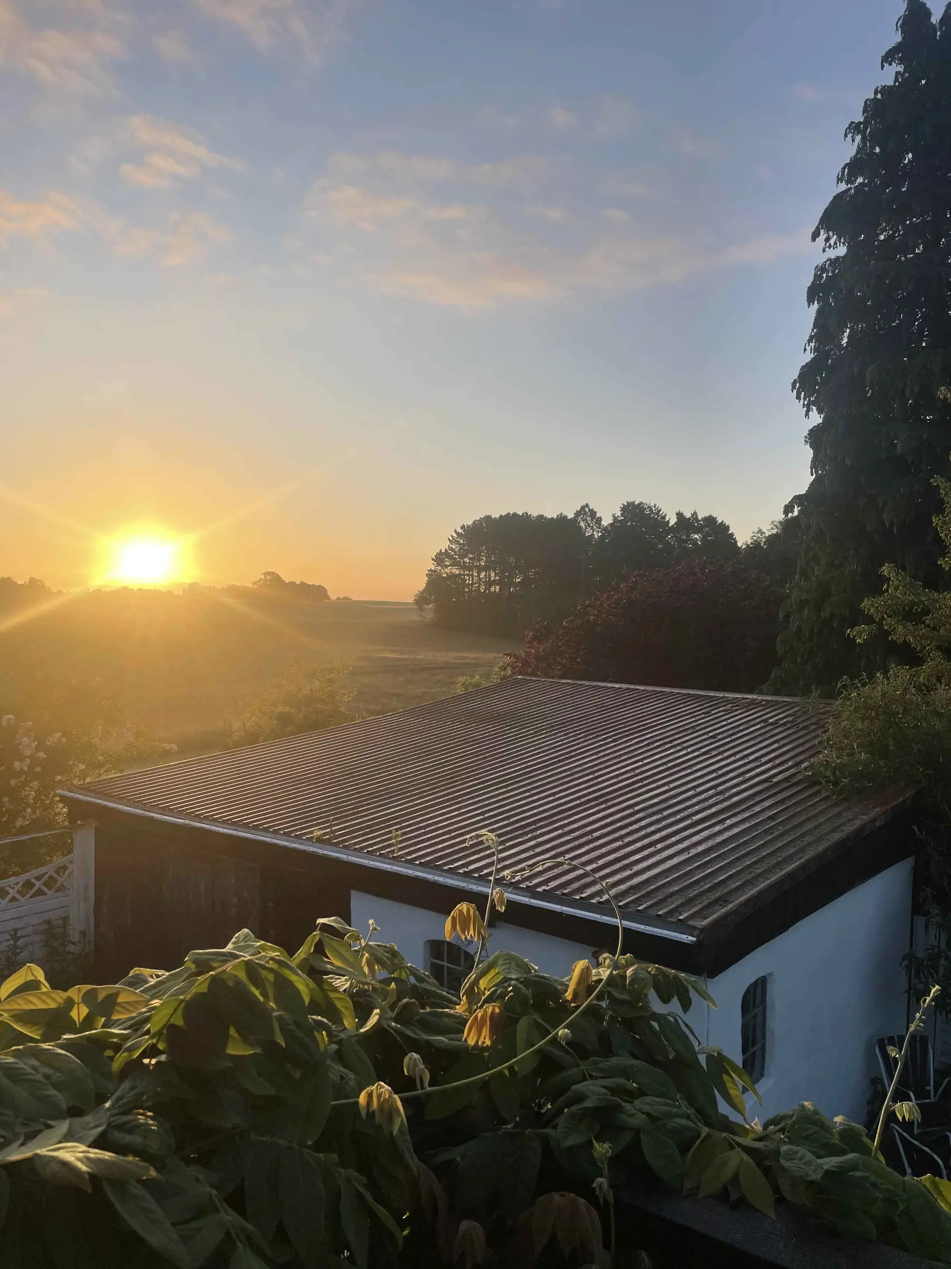 Bild 38 von 53