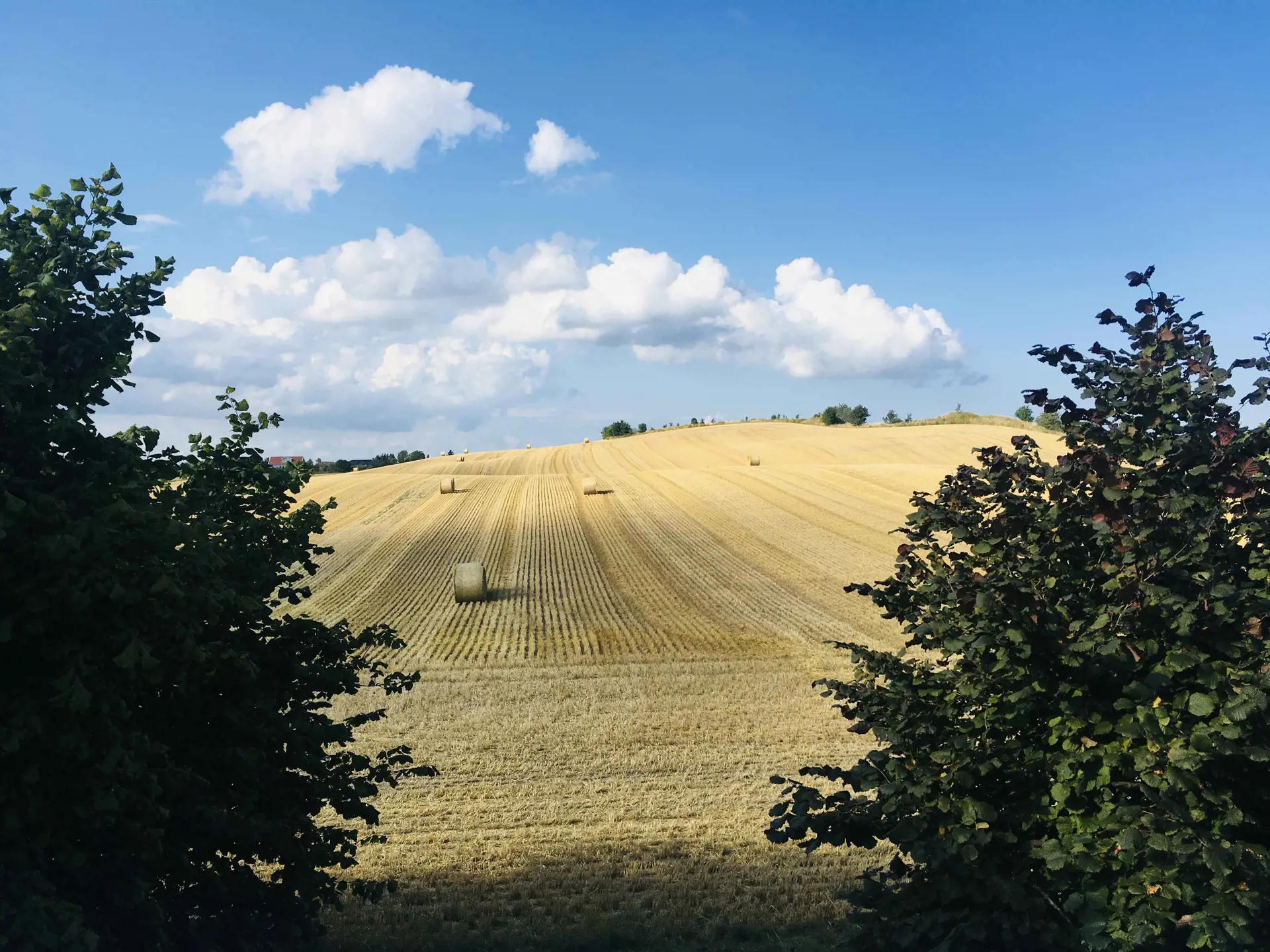 Bild 42 von 53