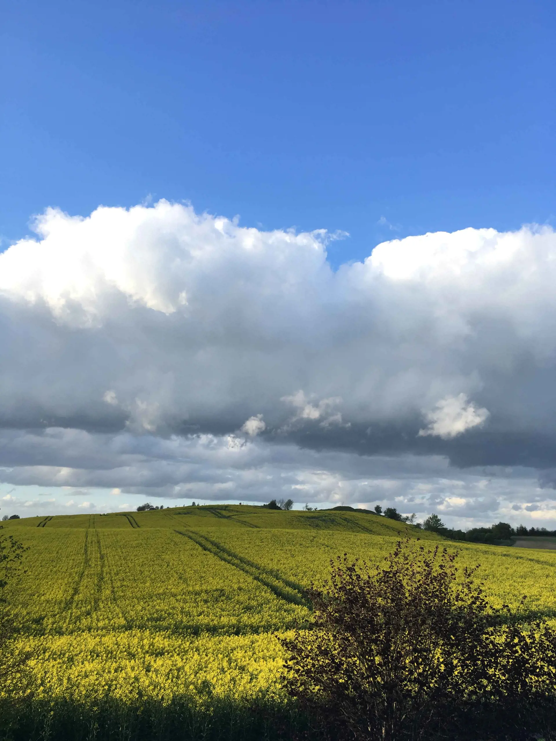 Bild 45 von 53