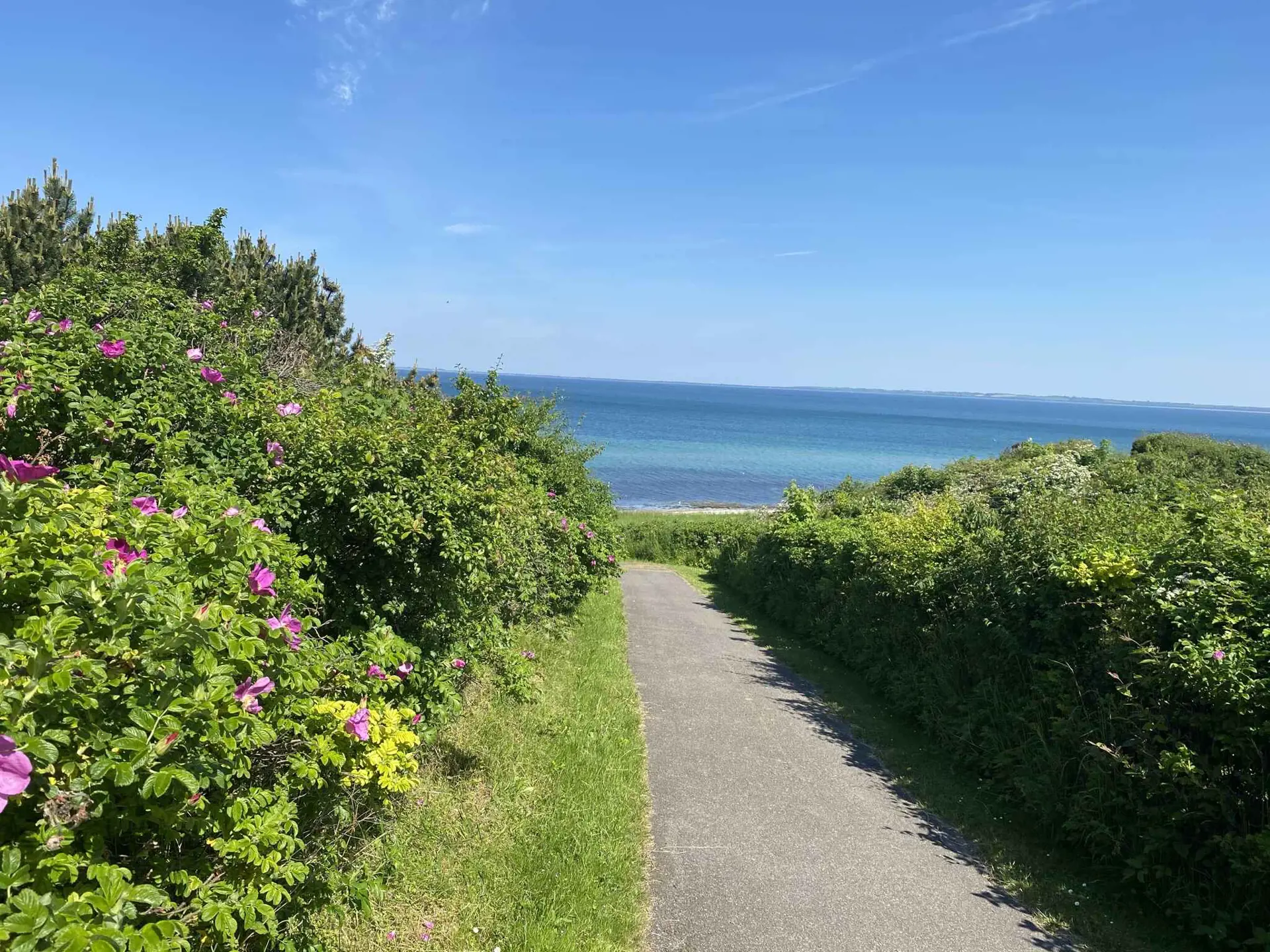 Bild 18 von 18