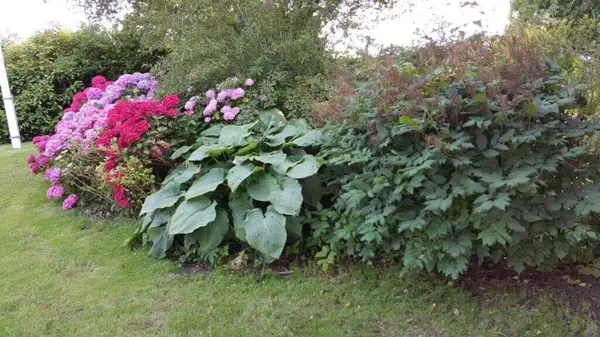 Bild 4 von 23