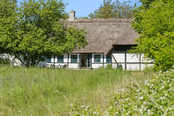 Ferienhaus 235996 in Bukkemose / Langeland