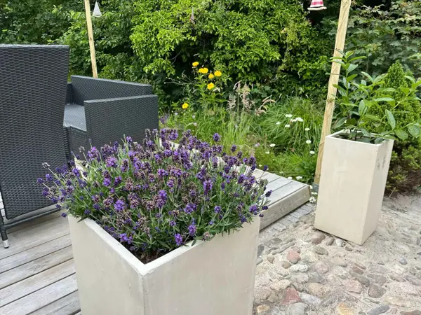 Bild 33 von 38