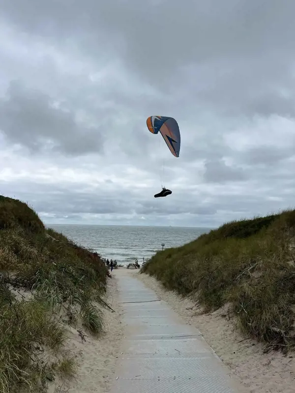 Bild 36 von 38