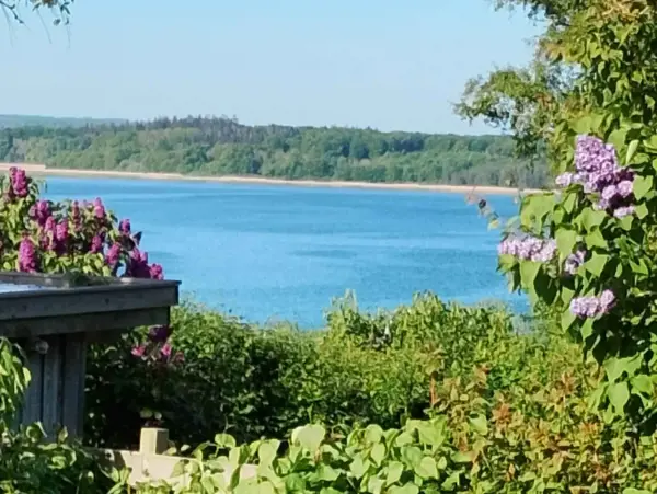 Bild 2 von 11