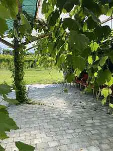 Bild 13 von 24