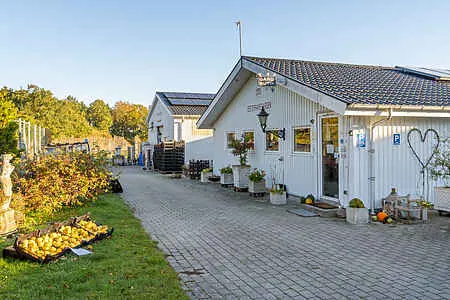 Bild 18 von 24