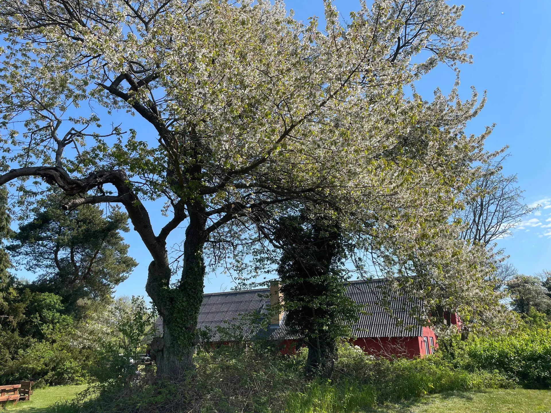 Bild 28 von 30