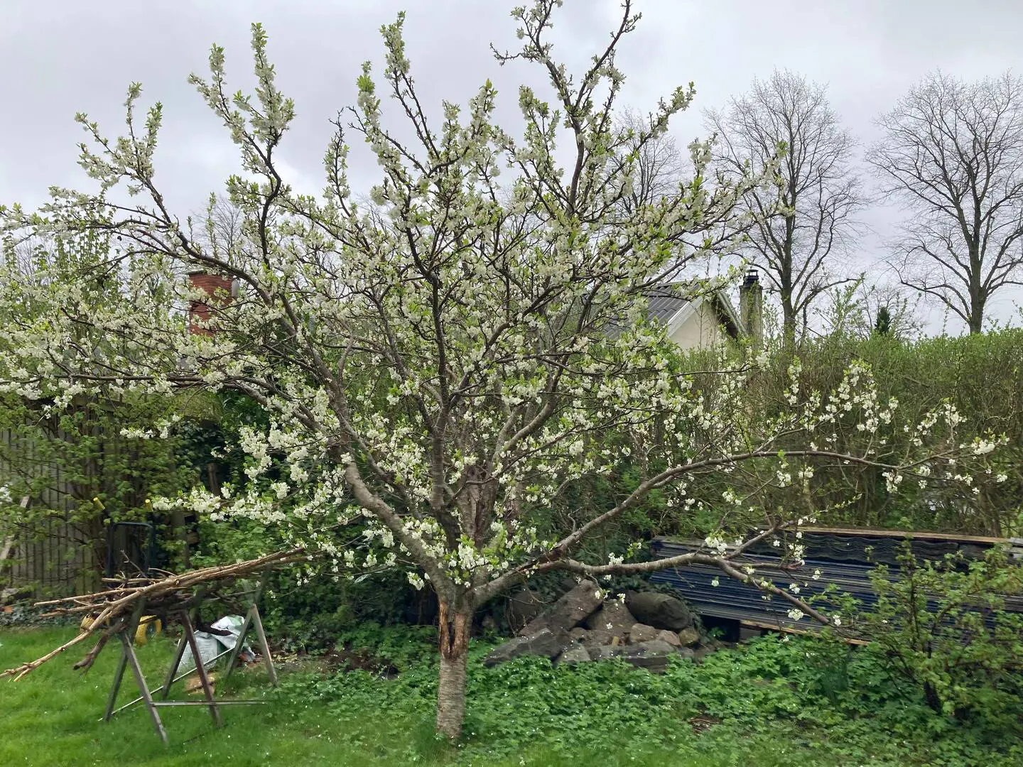 Bild 27 von 29