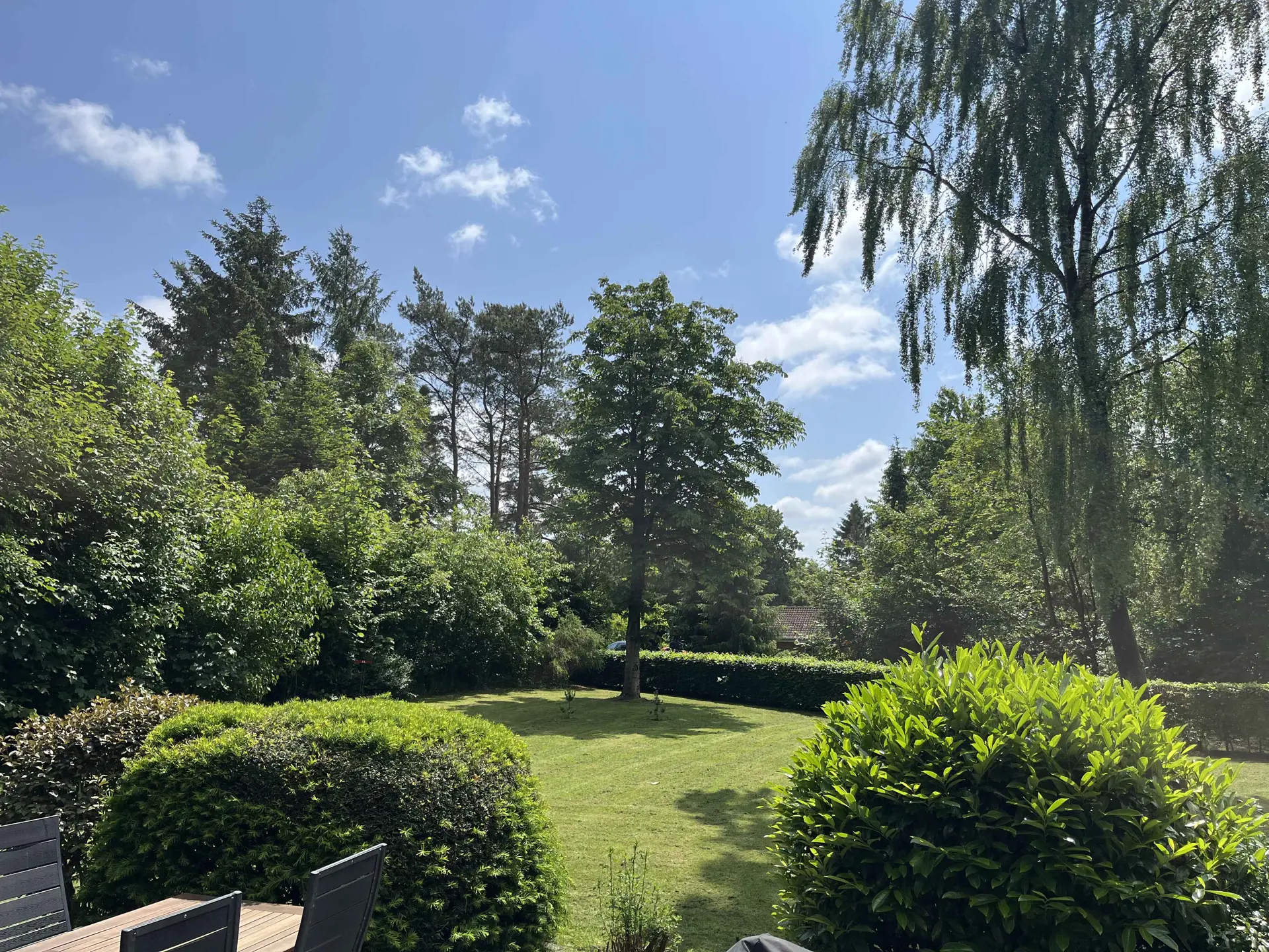 Bild 19 von 20