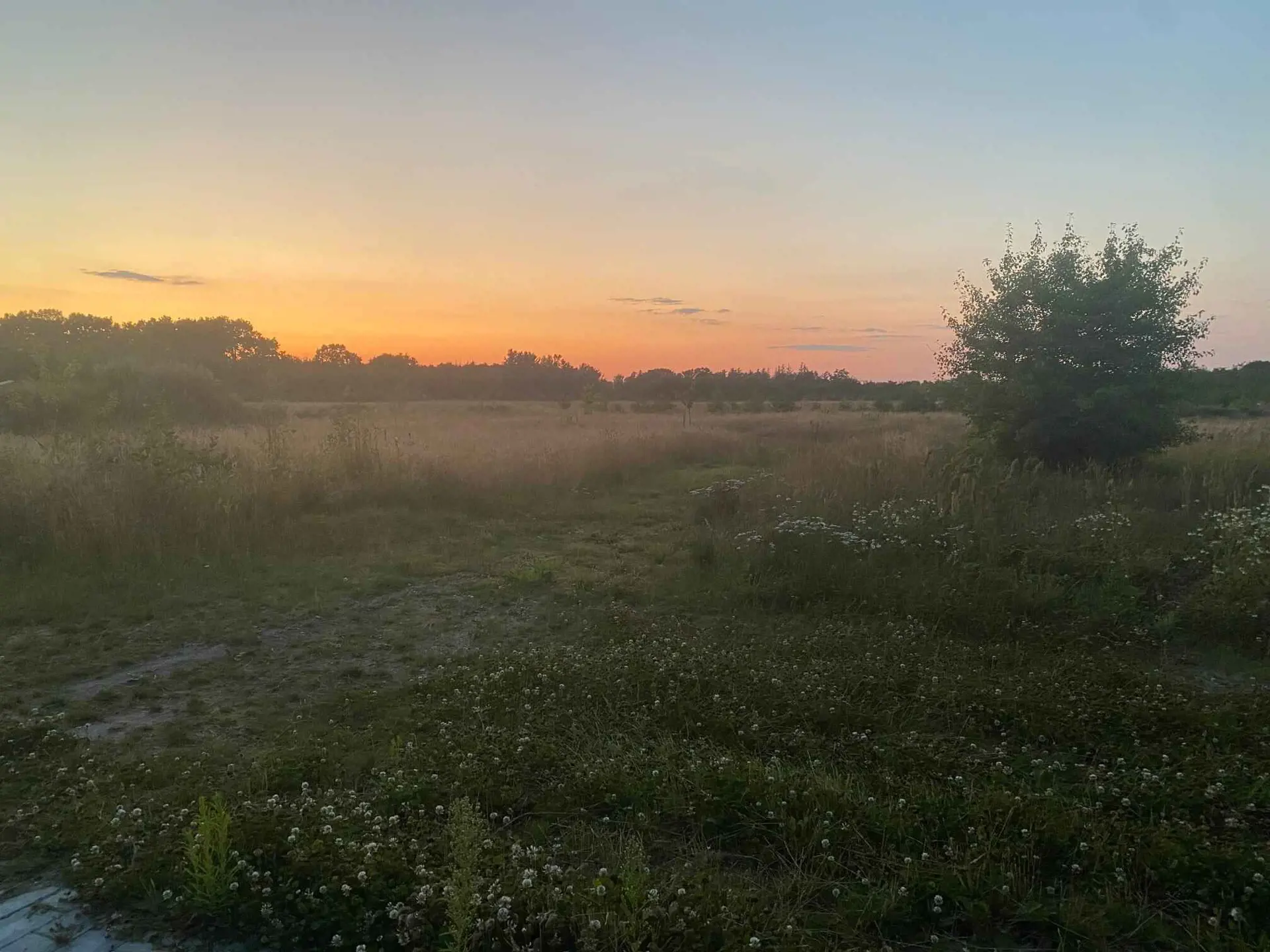 Bild 3 von 37