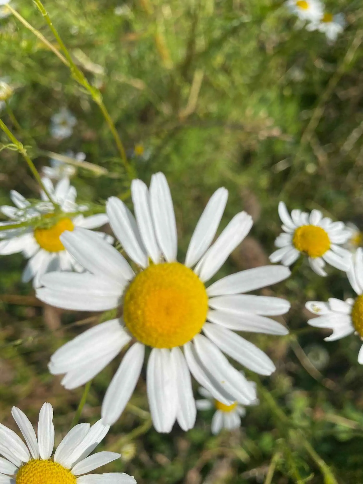 Bild 28 von 37