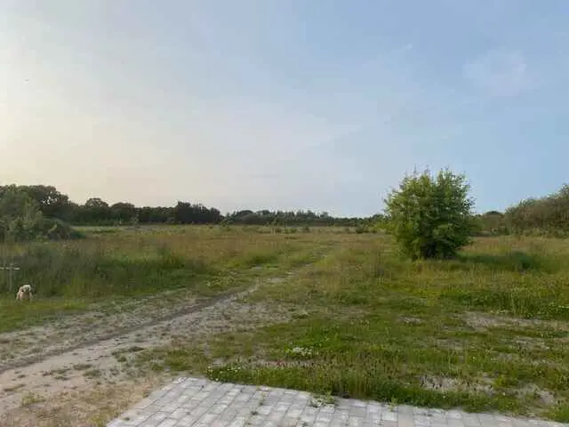 Bild 31 von 37