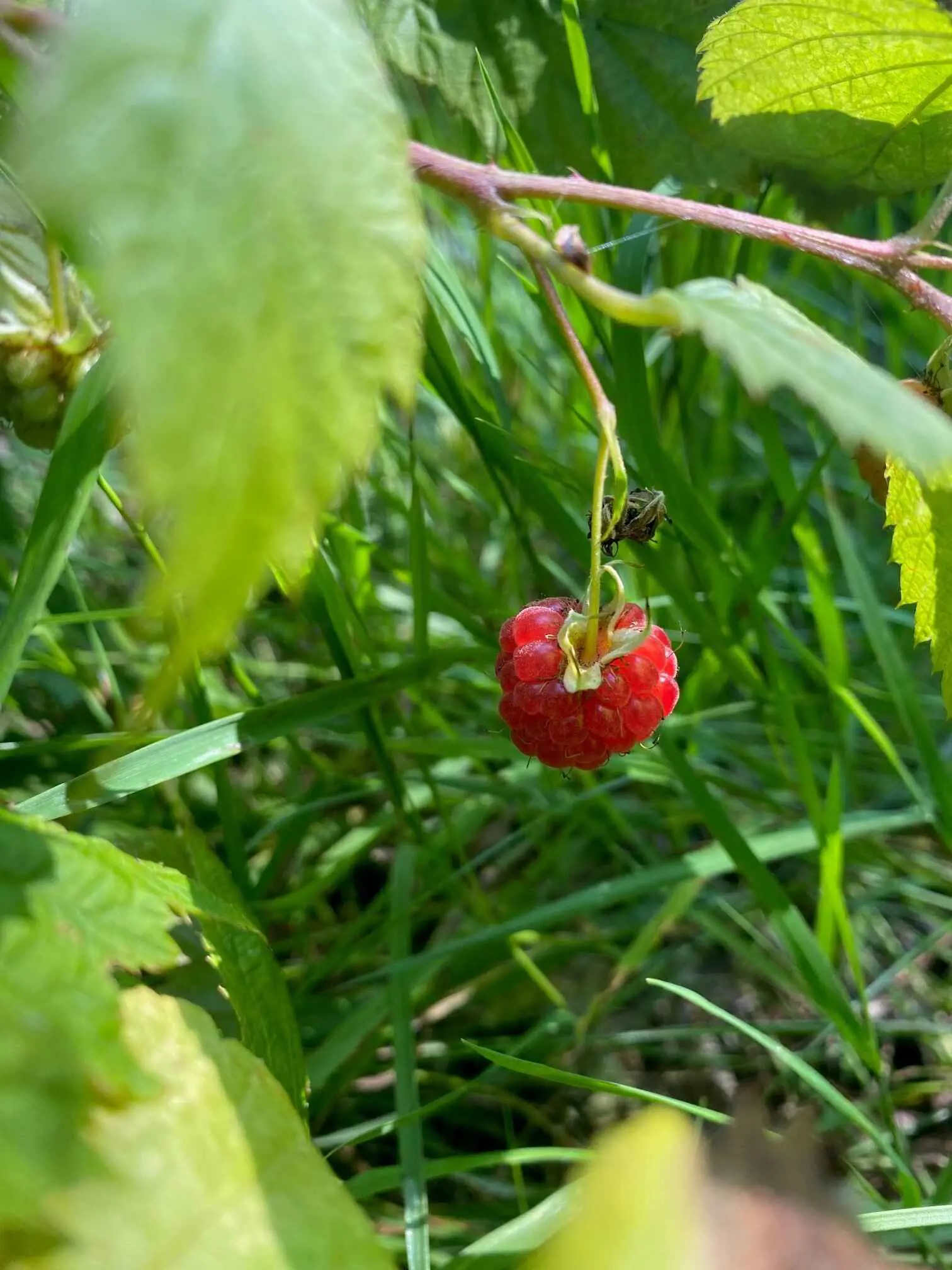 Bild 36 von 37