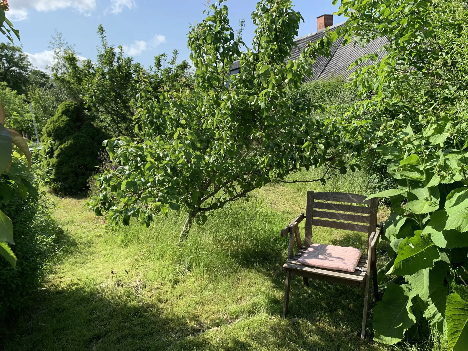 Bild 7 von 19