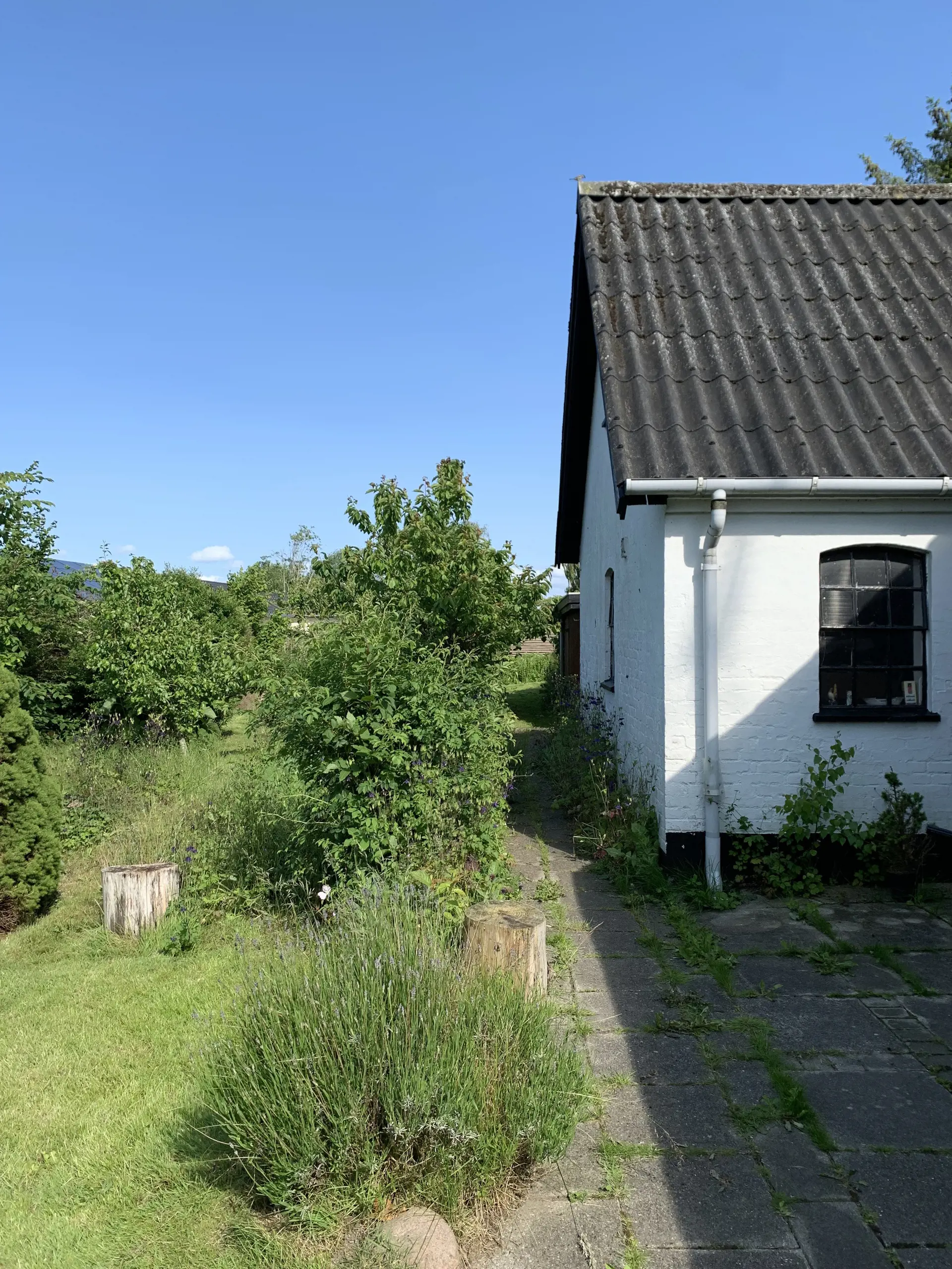 Bild 8 von 19