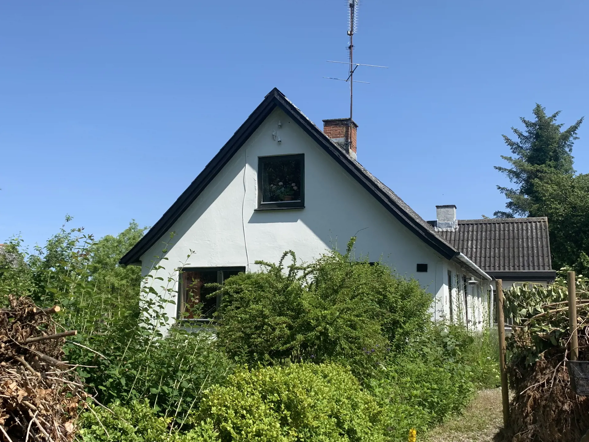 Bild 15 von 19