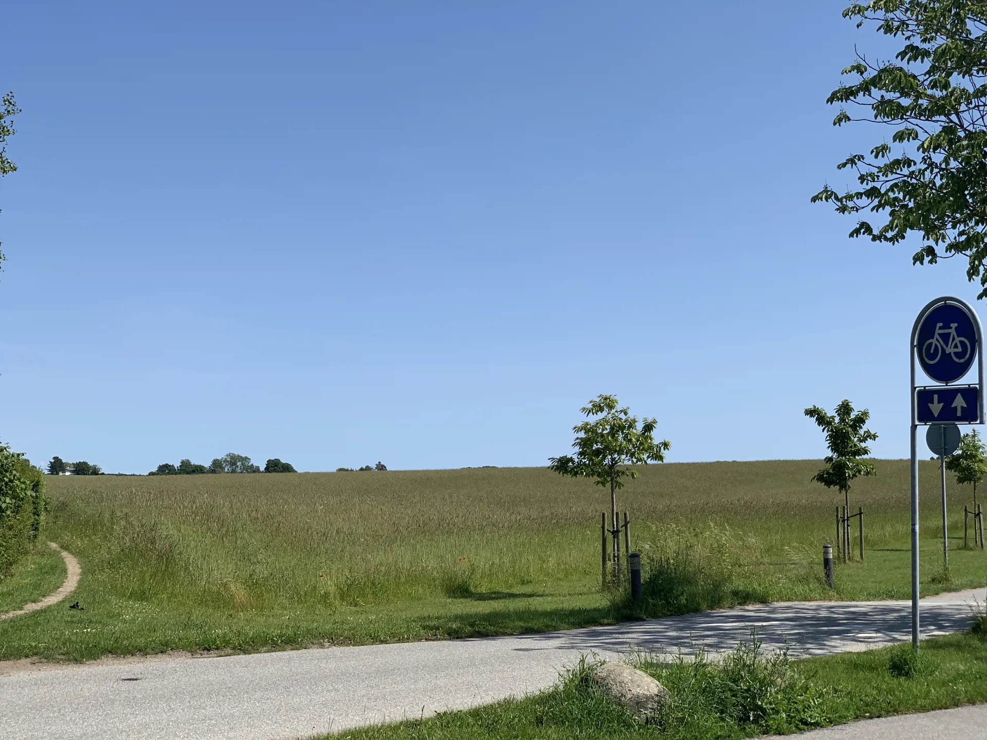 Bild 18 von 19