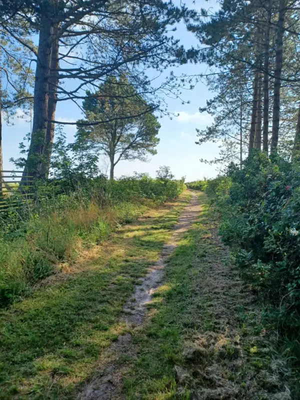 Bild 26 von 35