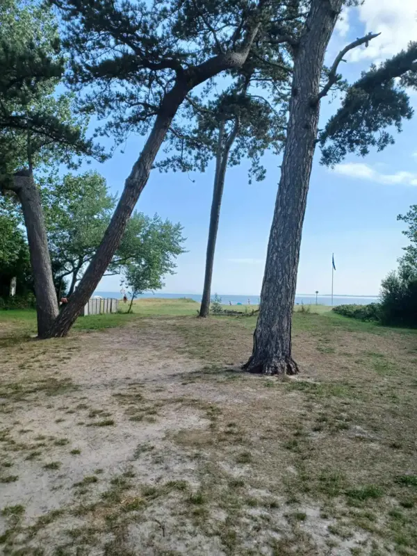 Bild 34 von 35