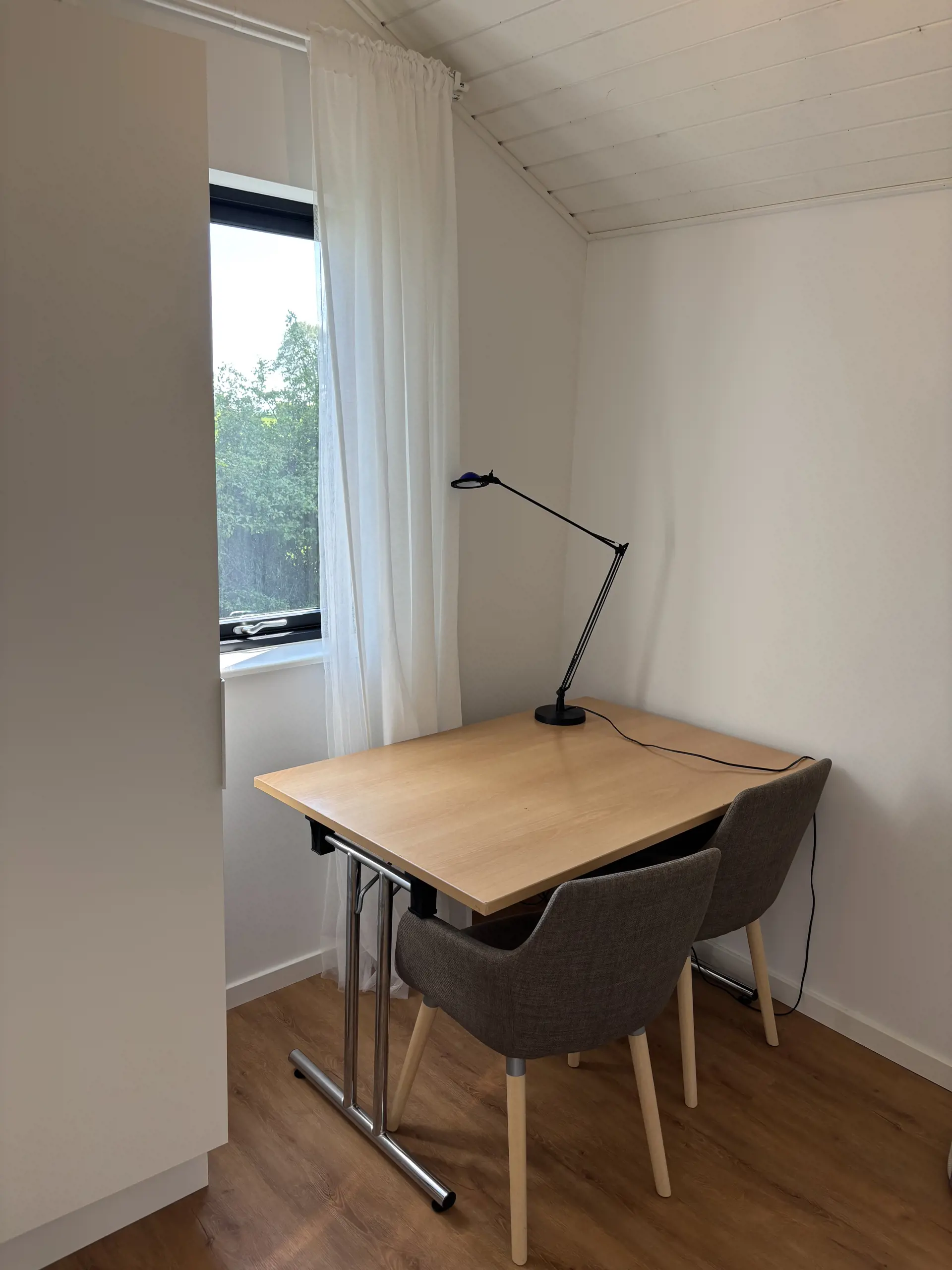 Bild 12 von 14