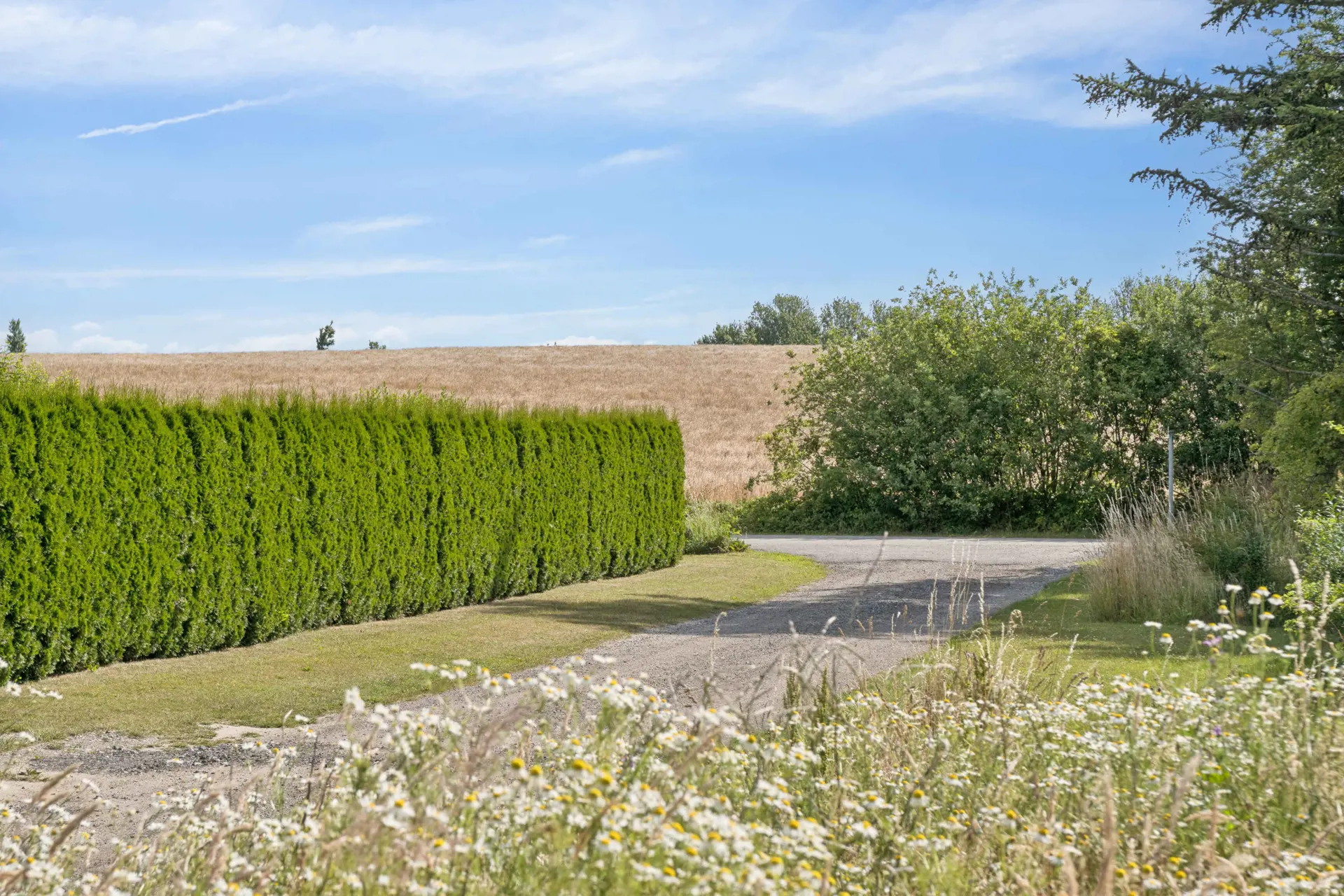 Ferienhaus 242016 in Fejø / Lolland Bild: 3