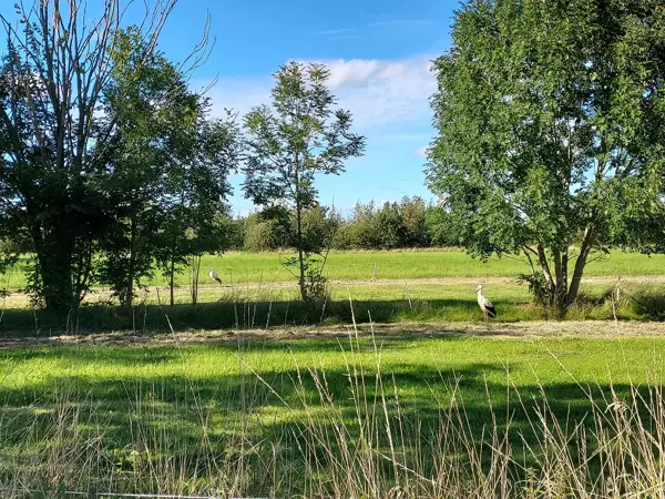 Bild 15 von 16