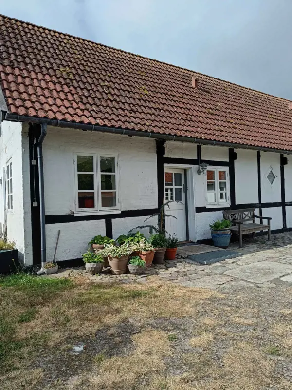 Ferienwohnung 243263 in Snogebæk / Südbornholm