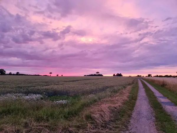 Bild 18 von 18