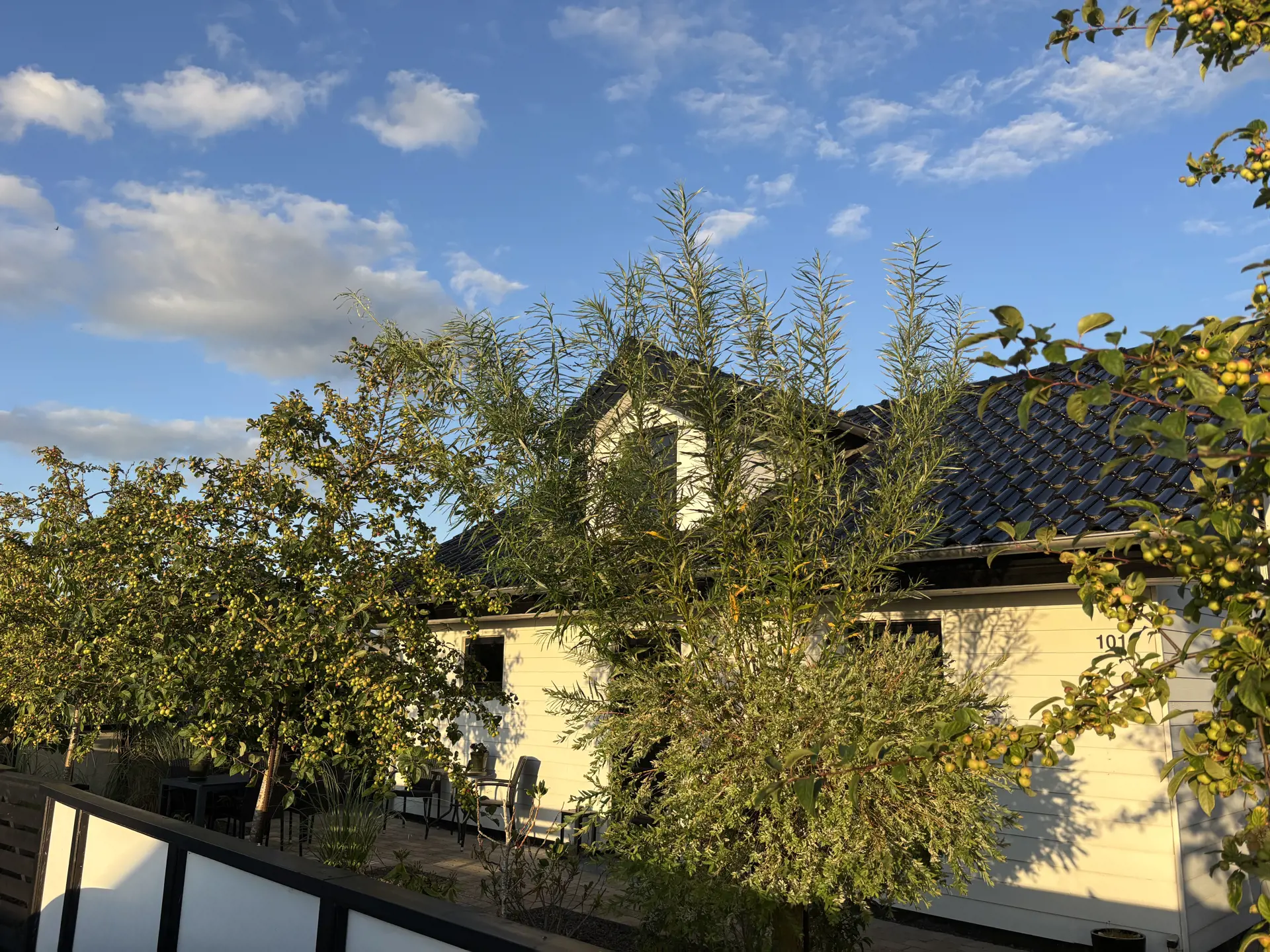 Bild 17 von 20