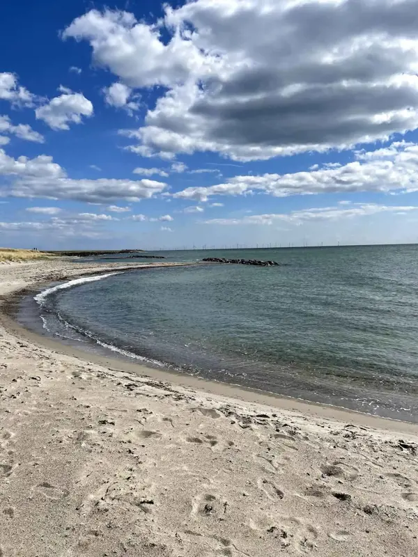 Bild 16 von 31